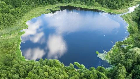Top-down view of a small forest pond in wild Poland. Stock Photos