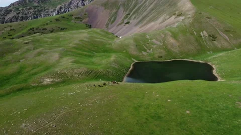 Top down view of small herd of horses grazing near alpine lake in Kazakhstan 库存影片 337202998