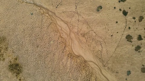 Top down view: small stream of water at the bottom of a dry lake. Landscape of Stock Footage 253265949