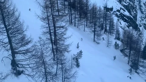 A Top-Down View Of Snow Covered Forest Stock Footage 237338318