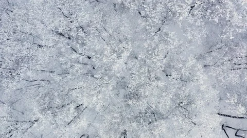 Top down view of snowy treetops, winter forest. Flight over woods. Stock Footage 144761579