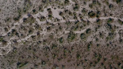 Top Down View of Solar Panel Farm In Full Sun. California Stock Footage 140615352