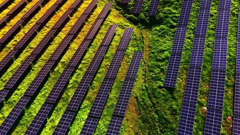 Top down view of solar panel rows on grassy slope, Bulgaria Stock Footage 345152270