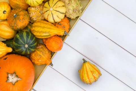 Top down view on squashes over wooden surface Stock Photos