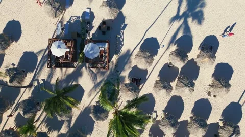 Top-down view of straw beach umbrellas and palm trees on a tropical beach Stock Footage 311339895