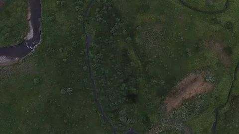 Top down view of streams flowing through green meadows Stock Footage 80358087