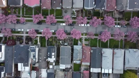 Top down view of streets and small houses in Vancouver during a spring day Stock Footage 194982871