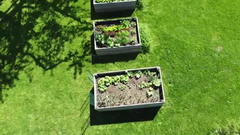 Top down view on stylish garden 動画素材 194451394