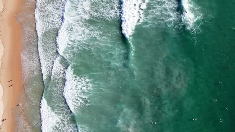 Top-down view of surfers waiting for waves in a turquoise ocean Vidéo 348160561