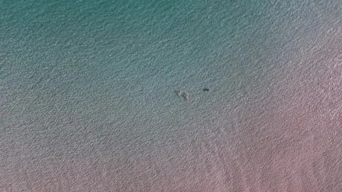 Top Down View of Swimmers in Clear Shallow Sea, Greece Stock Footage 343733411