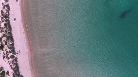 Top Down View of Swimmers in Clear Shallow Sea, Greece Stock Footage 343733479