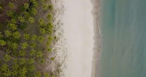 Top-down view of the Tagpis Beach in San Vicente Palawan, Philippines. Stock Footage 99033479