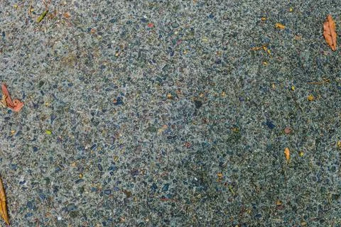 Top down view of textured asphalt surface mixed with small stones and dry f.. 库存照片