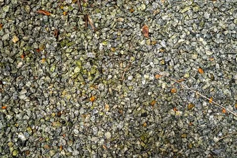Top-down view of a textured grey and green gravel surface with small stones Stock Photos