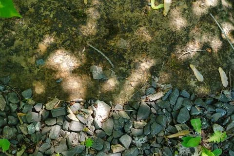Top-down view of a textured ground surface Stock Photos