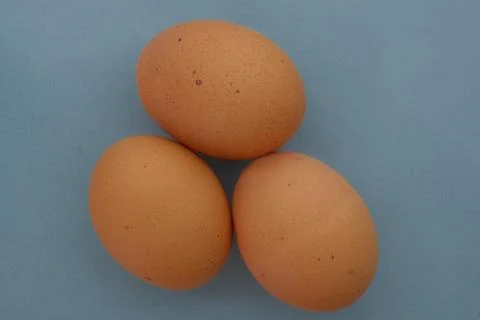 Top down view of three brown speckled chicken eggs on a blue background concept 库存照片