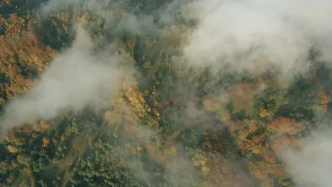 Top-down view through the fog at the autumn forest. Descent through the fog Stock Footage 146663451