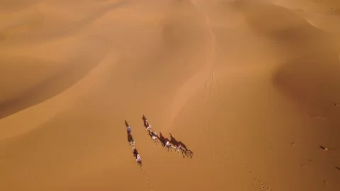 Top-down view of tourist camel caravan crossing Erg Chebbi dunes near Merzouga Stock Footage 337168877