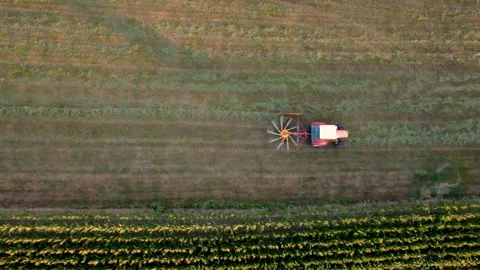 Top down view of a tractor with a rotary rake raking hay in warm evening light Video stock 340888592