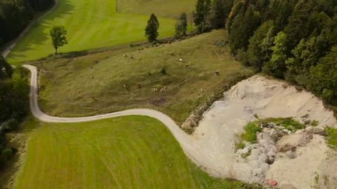 Top-down view of a tranquil rural area in Lenggries, Germany, cows on pastures Video stock 310609743