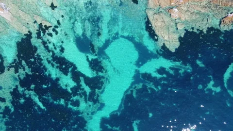 Top down view of transparent blue water rocky beach moving towards the beach Stock Footage 258295419