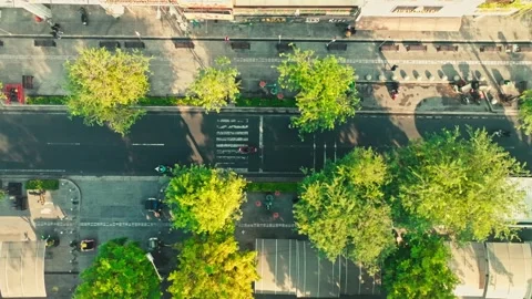 Top down view of tree lined transport corridor in Yogyakarta Stock Footage 342577208