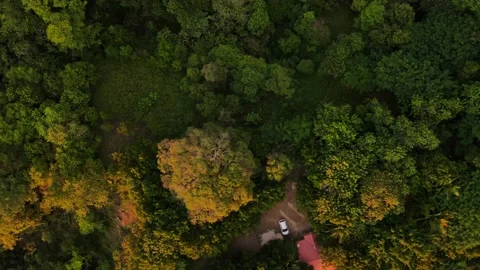 Top-down view of a tropical backyard during sunset. Sideways truck Stock Footage 166876361