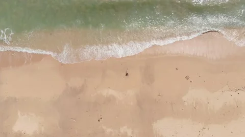 Top-down view of tropical beach with one woman lying on sand, aerial camera Stock Footage 148509377