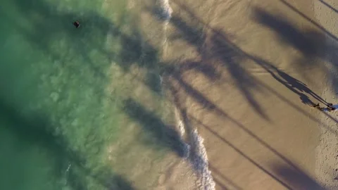 Top-down view of a tropical beach at sunset with palm tree shadows Stock Footage 305860211