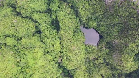 Top down view of tropical island with limestone rocks, Aerial view of Maya bay Stock Footage 223865242