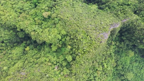Top down view of tropical island with limestone rocks, Aerial view of Maya bay Stock Footage 224223111