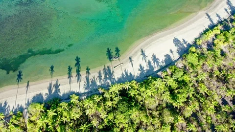 Top down view of tropical landscape Stock Footage 113044852