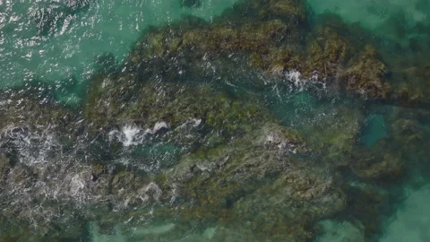 Top down view of tropical reef, New Zealand Stock-Footage 179653674