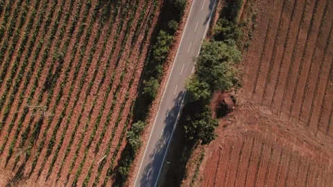 Top down view of Tuscany road Stock-Footage 245278925