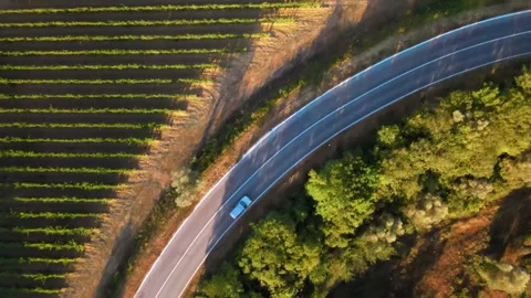 Top down view of Tuscany road Stock Footage 245279334