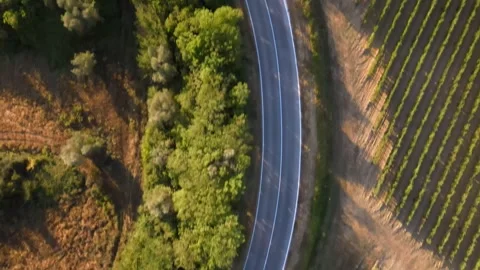 Top down view of Tuscany road Stock Footage 245281459