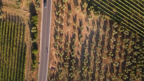 Top down view of Tuscany road Stock Footage 245281639