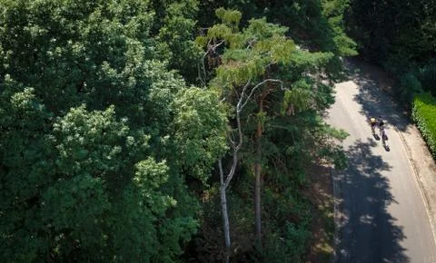Top down view of two bicyclists on a road Stock Photos