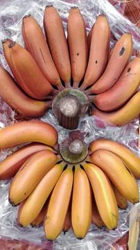 Top-down view of two bunches of ripe red bananas Stock Photos