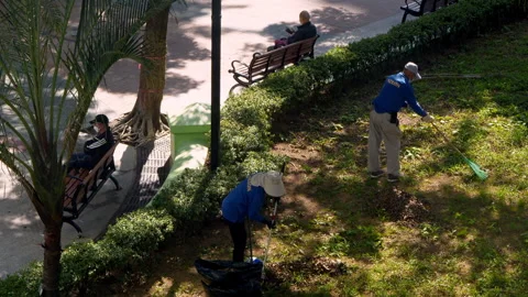Top down view of two gardener working, with 2 elderly resting on benches. Stock Footage 252774890