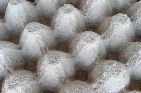 Top-Down View of Underside of an Empty Biodegradable Molded Pulp Fiber Egg Ca Stock Photos