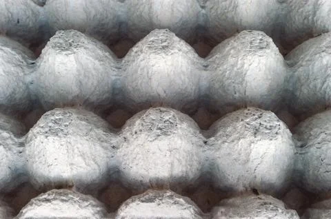 Top-Down View of Underside of an Empty Biodegradable Molded Pulp Fiber Egg Ca Stock Photos