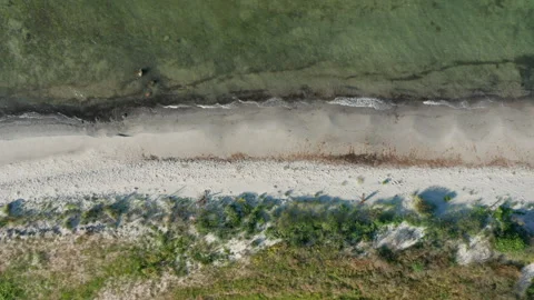 Top Down View of a Unspoiled Beach in Denmark Stock Footage 244865002