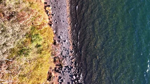 Top Down View | Water Gradient | Lakeshore | Autumn - 4K Aerial Video Stock Footage 329052792