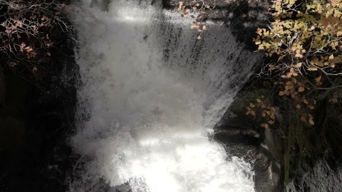 Top down view of waterfall and stream with yellow leaves in autumn tree forest Stock Footage 111863492