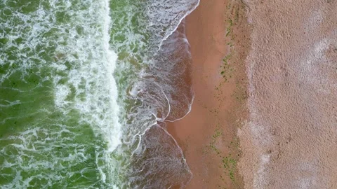 Top-down view of waves rolling onto a sandy beach, showcasing the vibrant green Stock Footage 281782275