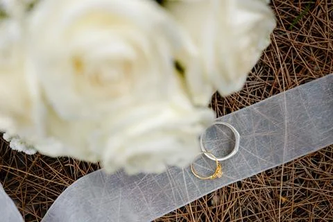 Top-down view of wedding rings Stock Photos