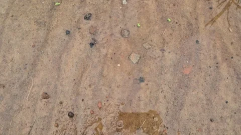 Top Down View Of Wet Sandy Soil Surface With Water Flow Ripple Patterns Stock Footage 341941610