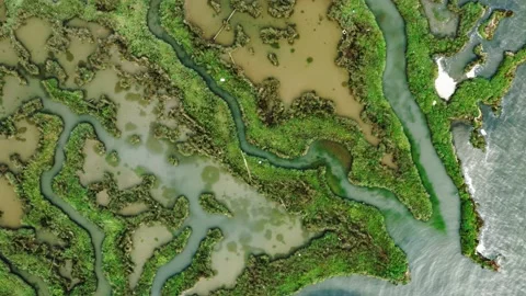 Top down view of wetland. Stock Footage 160148438