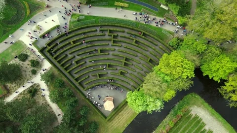 Top Down View of Wifi Shaped Garden Maze in Keukenhof Netherlands 動画素材 331228349